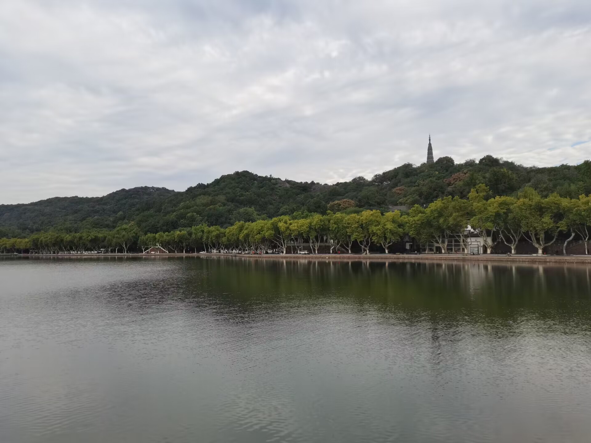 QQ图片20221019220906