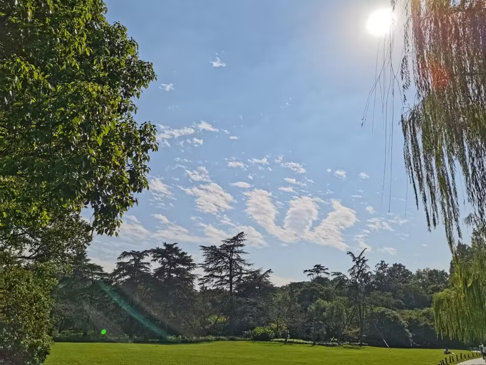 QQ图片20221021212556