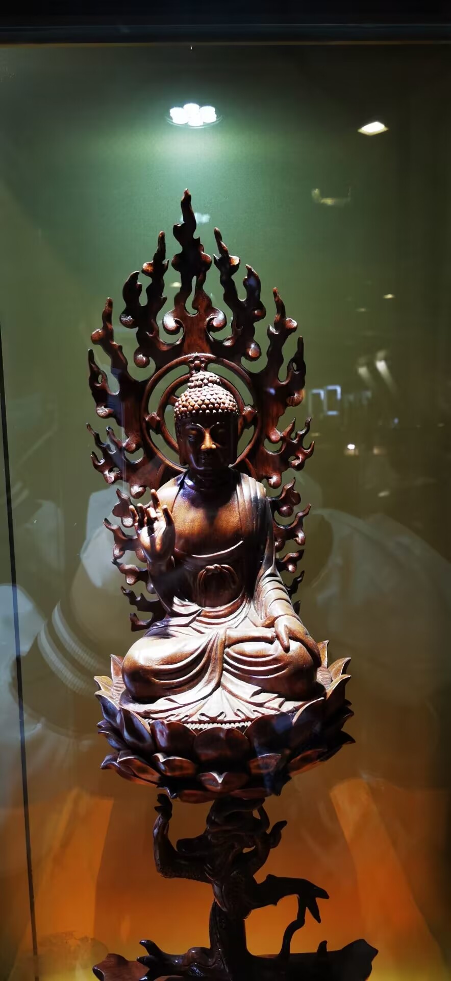 QQ图片20221022234227