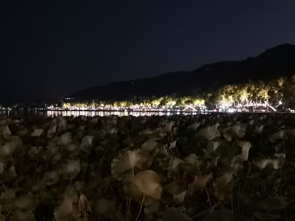QQ图片20221024003636