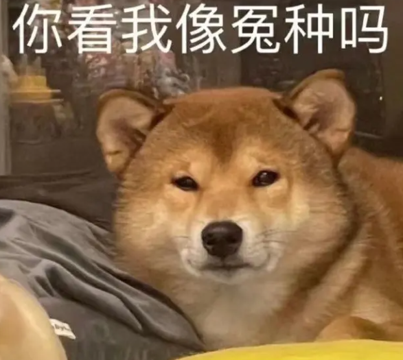QQ图片20221101221502