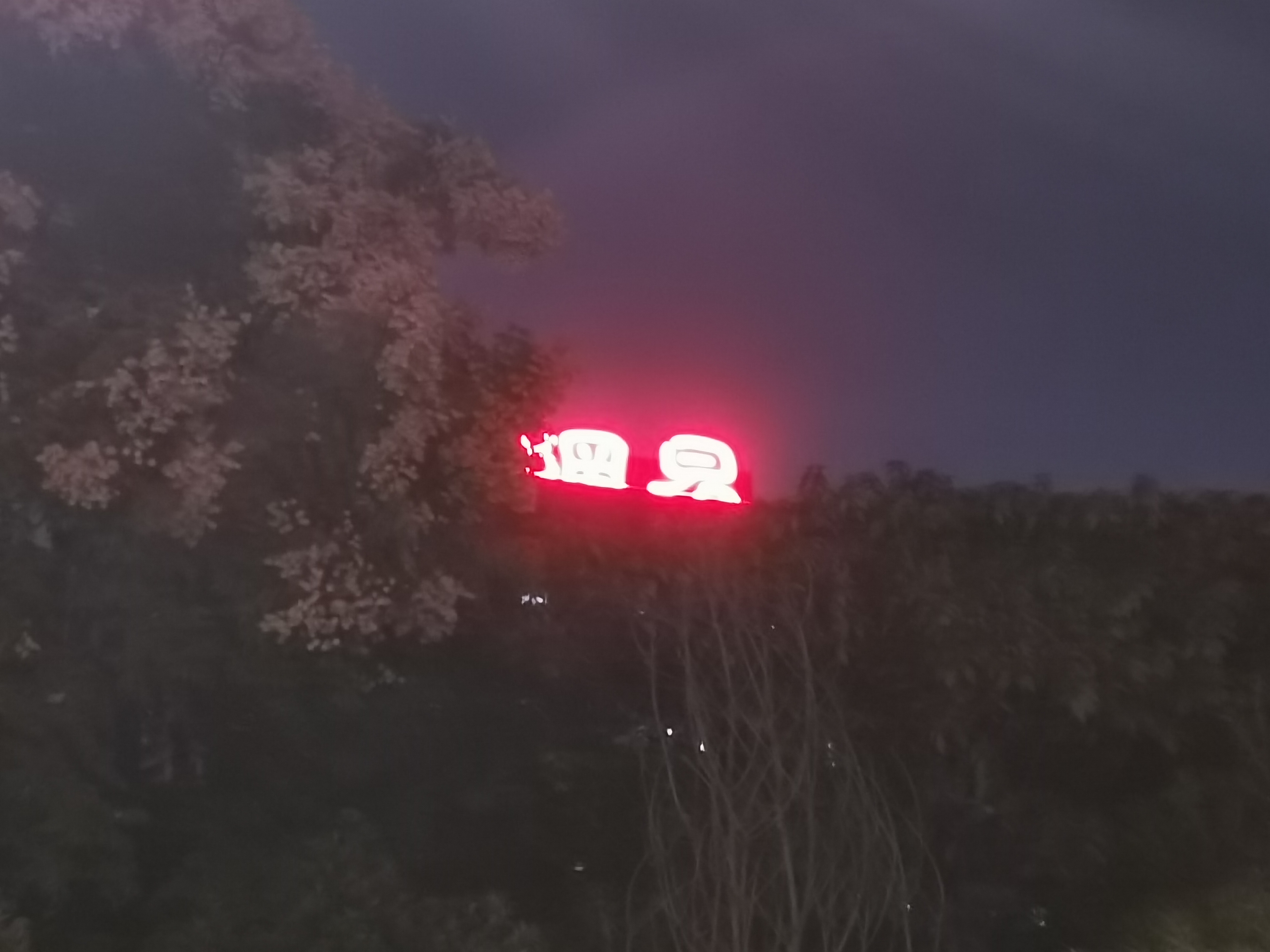 QQ图片20221221163409