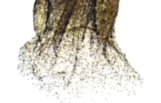 image-20230511124237550