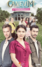 Canevim (Confidencial)