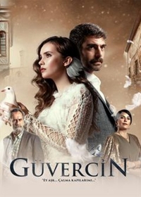 Guvercin (Paloma)