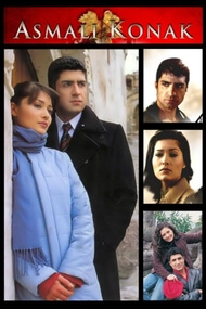 Mansion de la Vid (Asmali Konak)