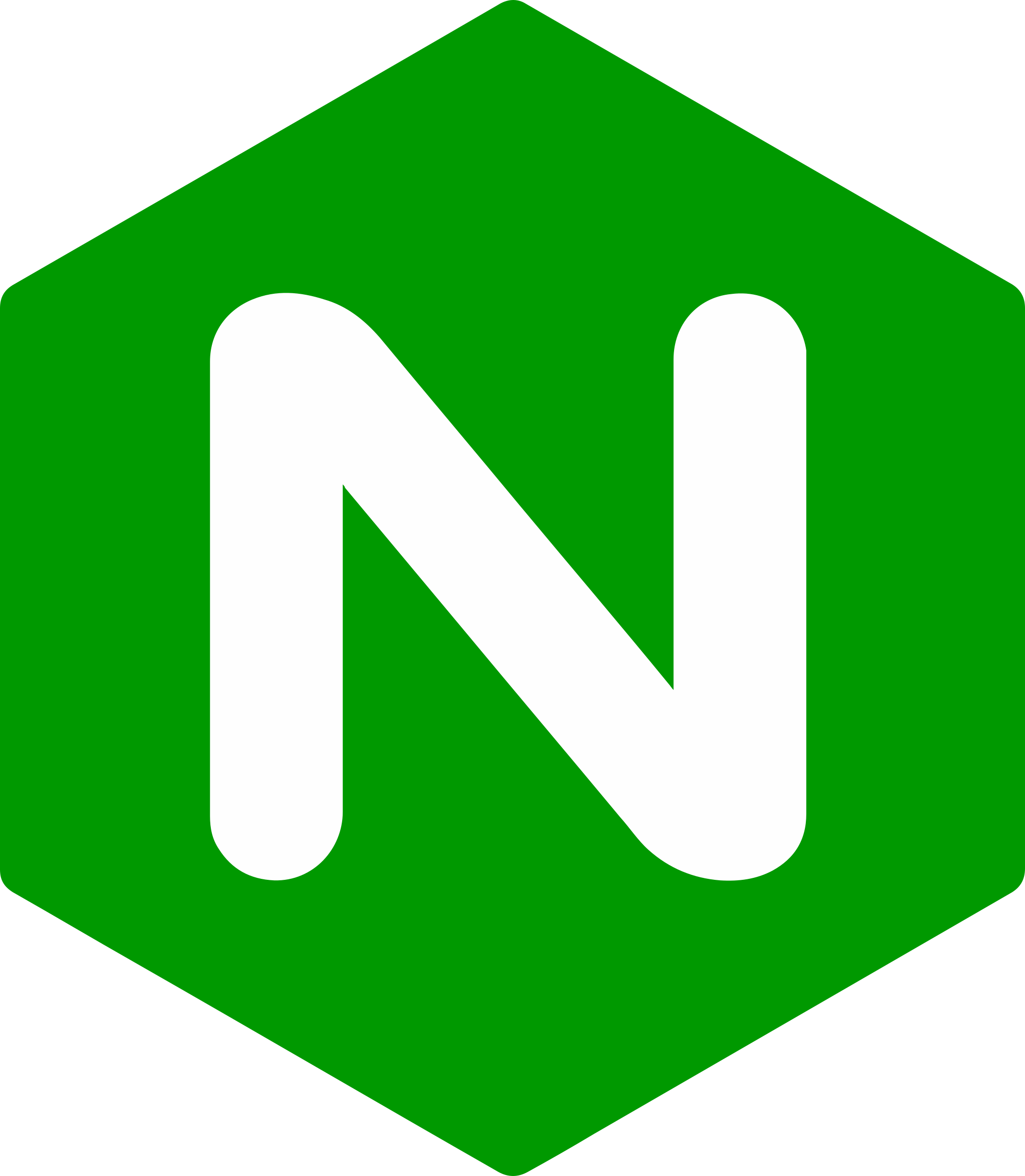 Official Nginx logo