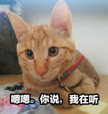 饭大龙-02