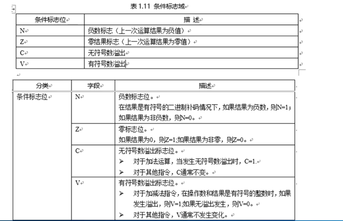 NZCV条件标志域