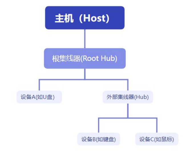 USB 拓扑结构