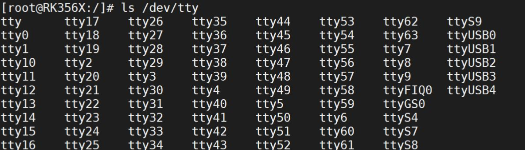/dev/tty