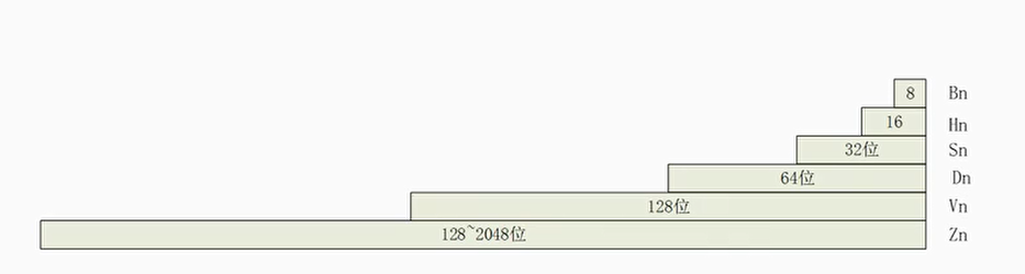 可变长矢量寄存器