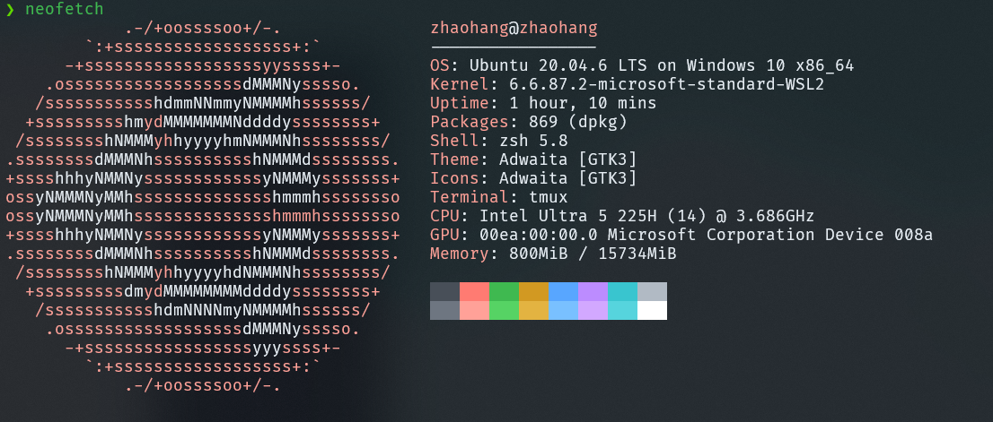 WSL2 Ubuntu20.04
