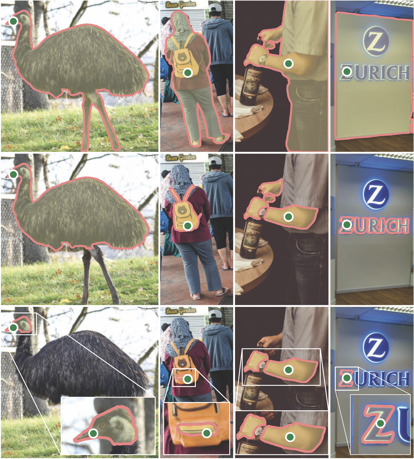 Segmented Image