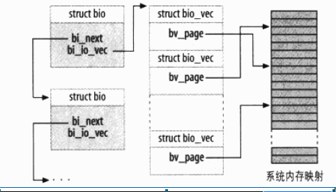 bio