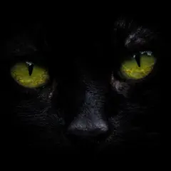 Logo for Spooky Author Identification