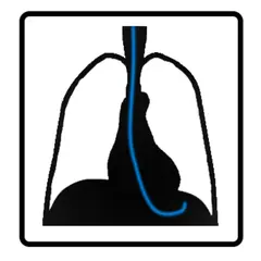 Logo for RANZCR CLiP - Catheter and Line Position Challenge