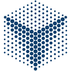 Logo for VinBigData Chest X-ray Abnormalities Detection