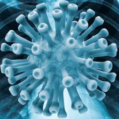 Logo for SIIM-FISABIO-RSNA COVID-19 Detection