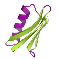 Logo for Novozymes Enzyme Stability Prediction