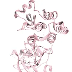 Logo for CAFA 5 Protein Function Prediction