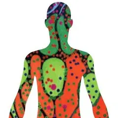 Logo for HuBMAP - Hacking the Human Vasculature