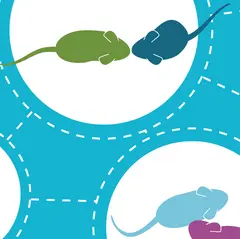 Logo for MABe Challenge - Social Action Recognition in Mice