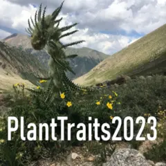 Logo for PlantTraits2024 - FGVC11