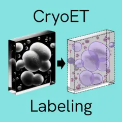 Logo for CZII - CryoET Object Identification