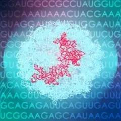 Logo for Stanford RNA 3D Folding
