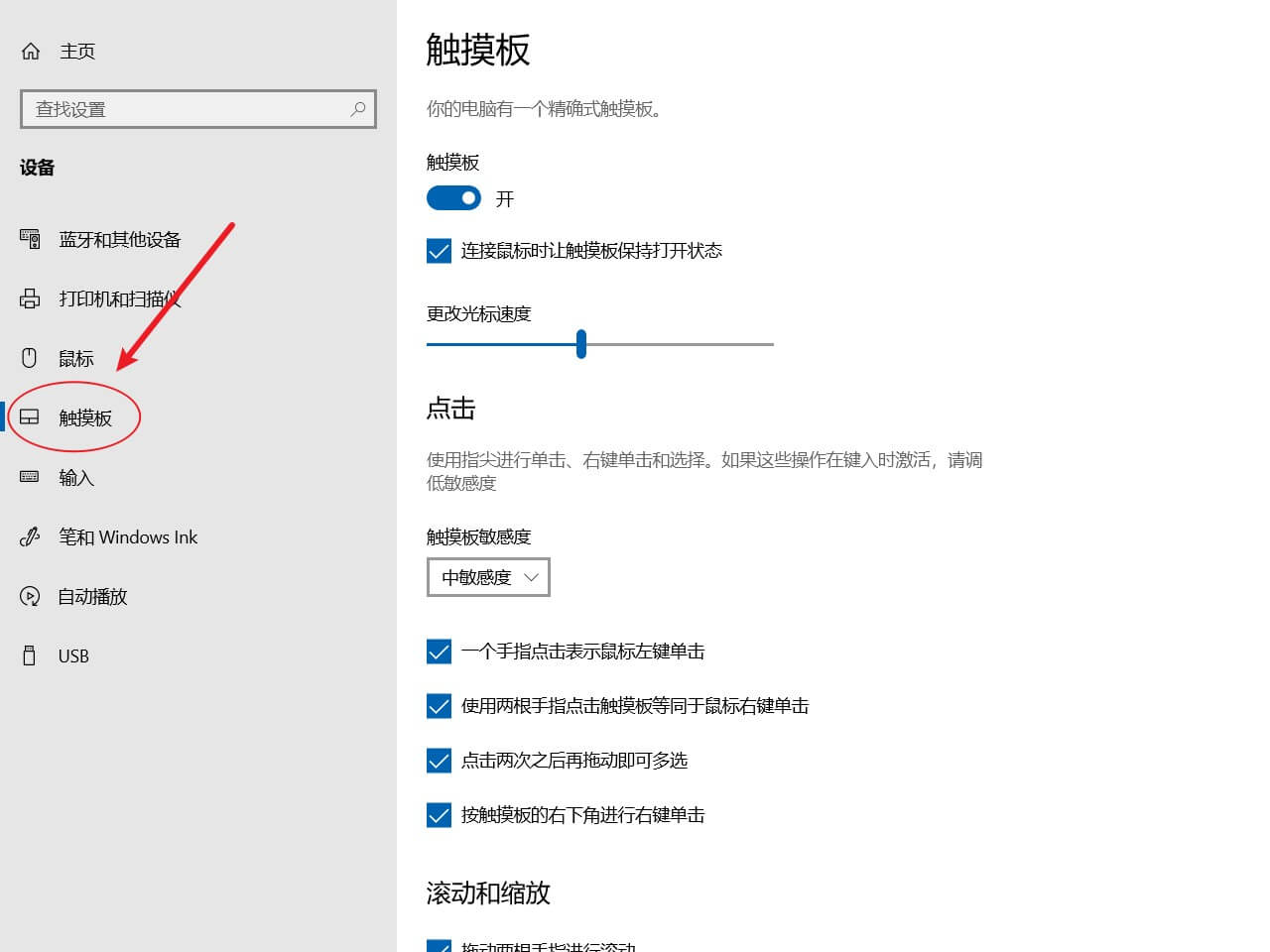 左侧设备列表找到触摸板，进入