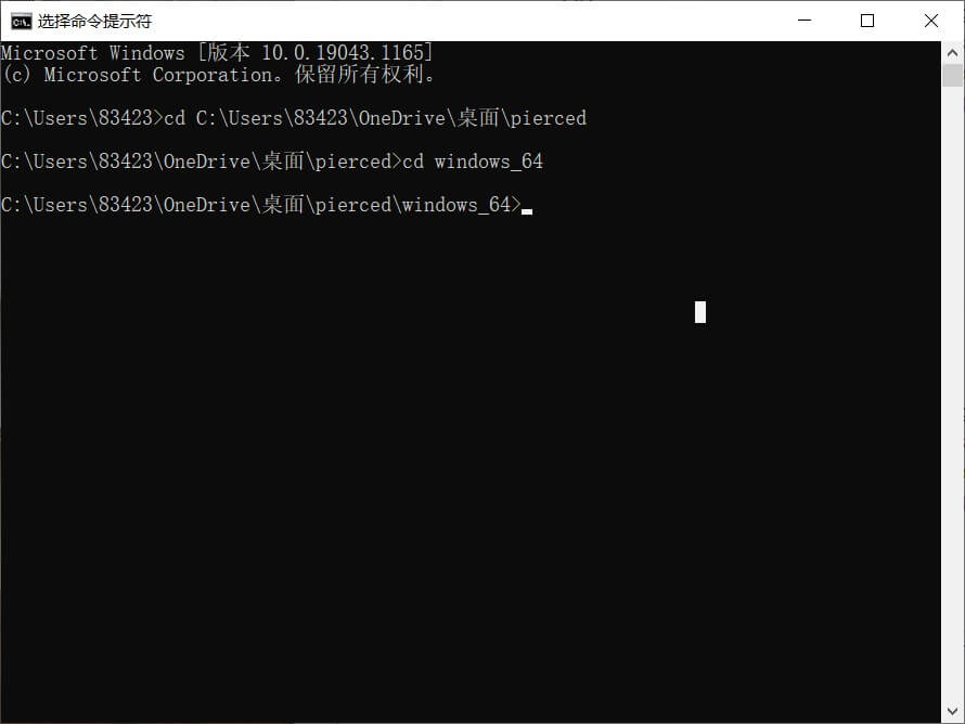 进入windows_64