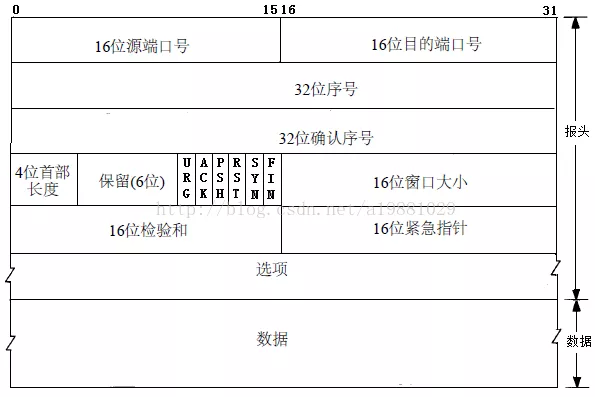 tcp