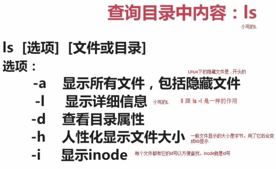 3.1.3-查询目录中的内容LS