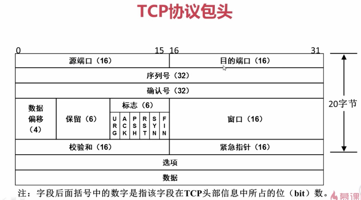 1.4.1_tcp协议包头