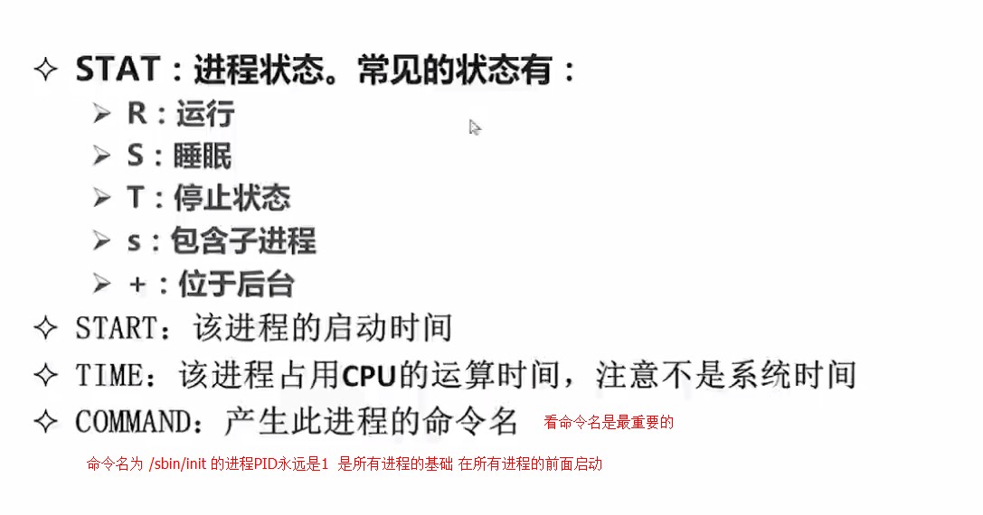 1.1.3_ps命令的输出2