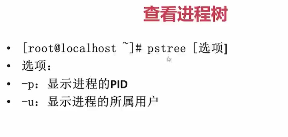 1.1.4_pstree命令查看进程树