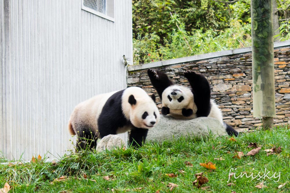 伸个懒腰，瞅你咋的