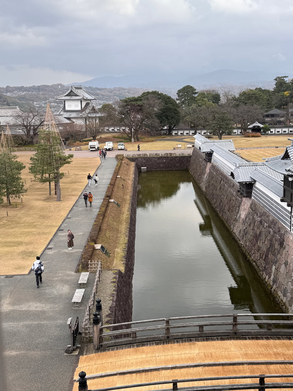 IMG_5372 (1).jpg|500