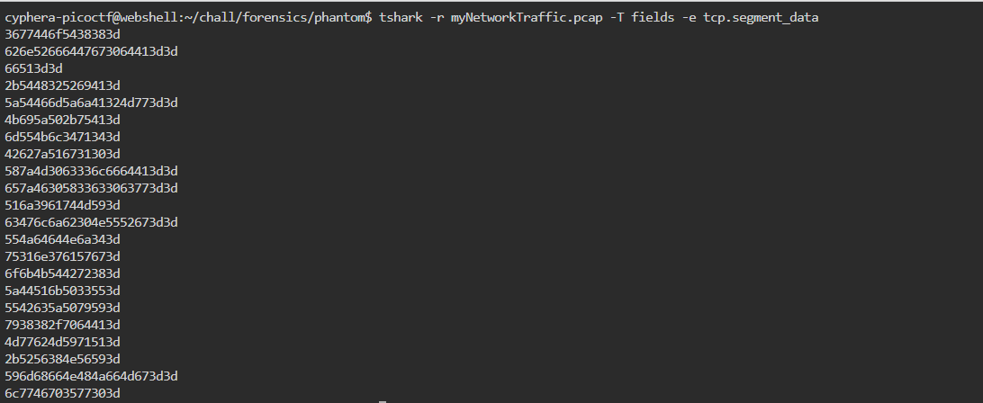 Output setelah filter panjang paket