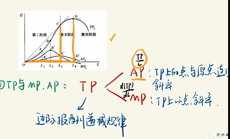 image-20251209040814116