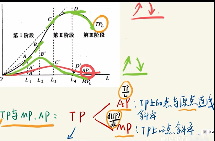 image-20251209043849325