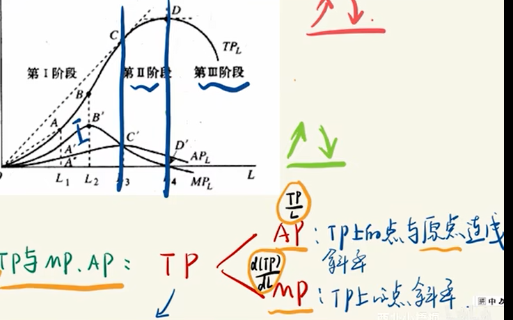 image-20251209043921986