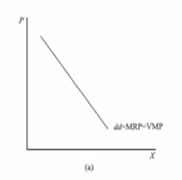 image-20251210030428773