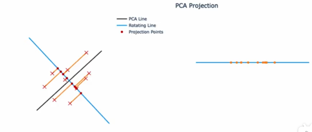 image-20240618155518469