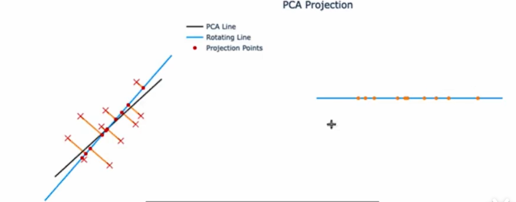 image-20240618155655924