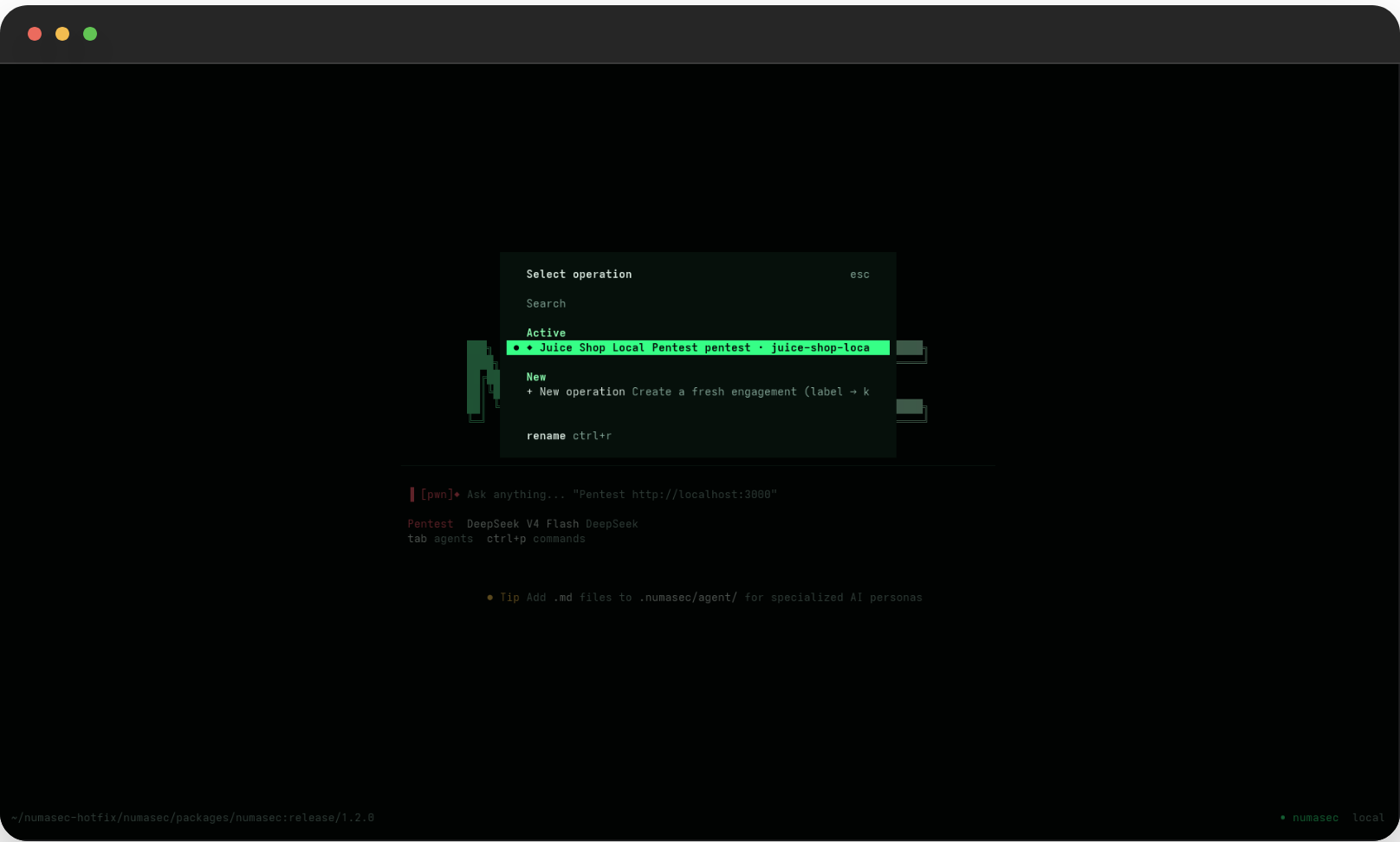 numasec operation selector with rename support
