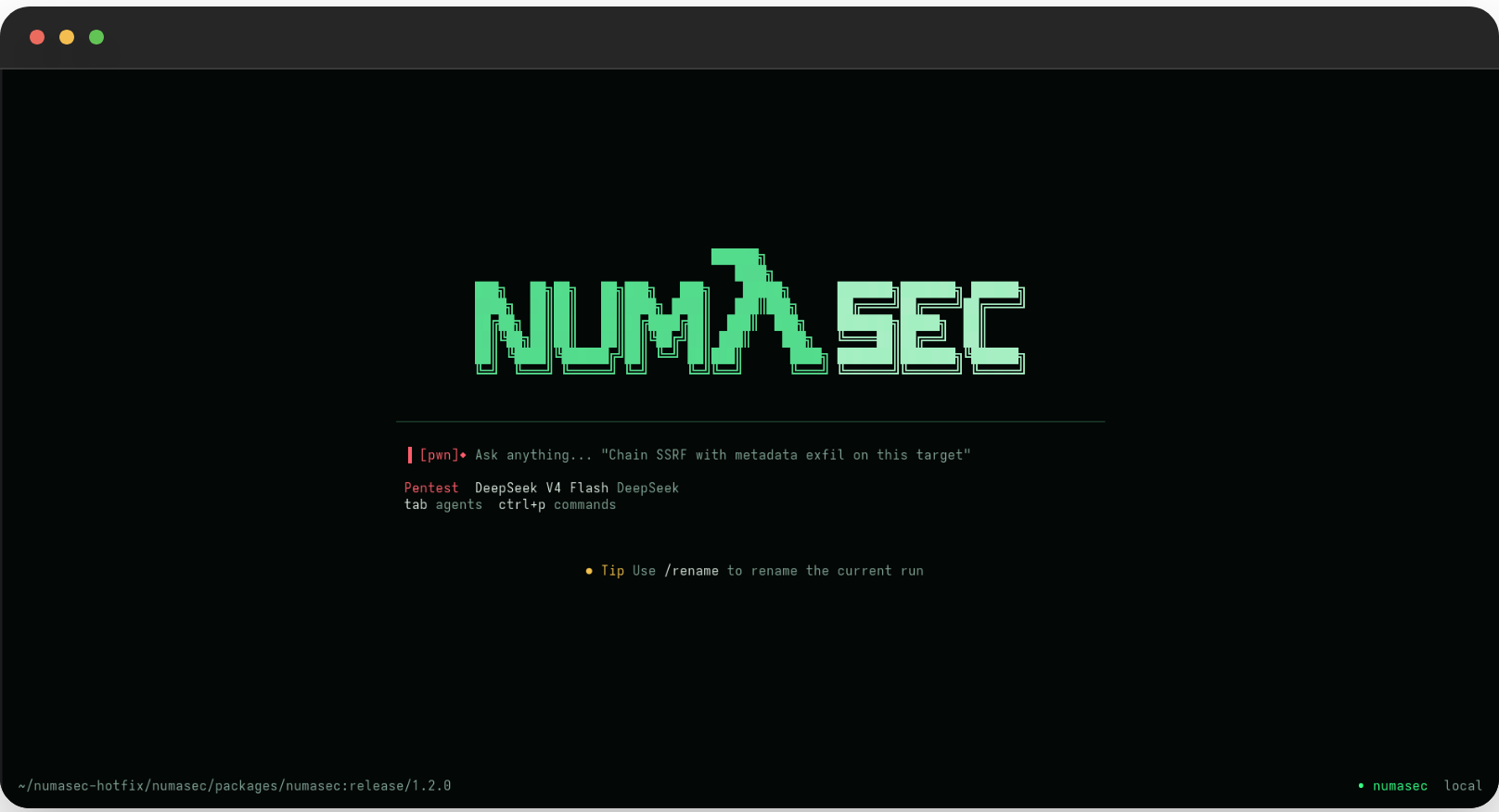 numasec AI security agent running in the terminal