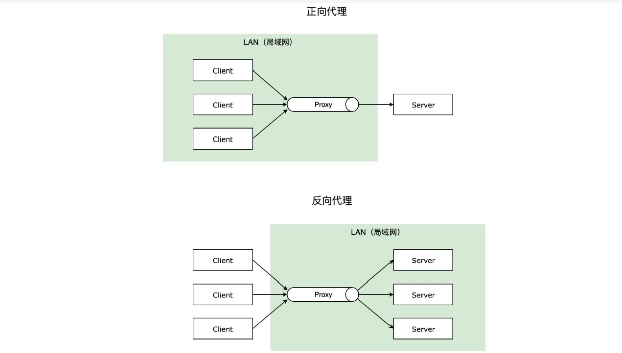 image-20220914012354891