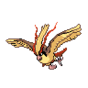 Pidgeot Sprite Image